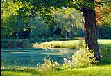 Quiet Pond
